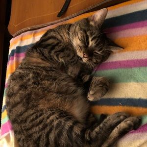 Meet your Posher, Bethani